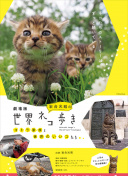 负面优化对百度SEO的影响及报警机制研究